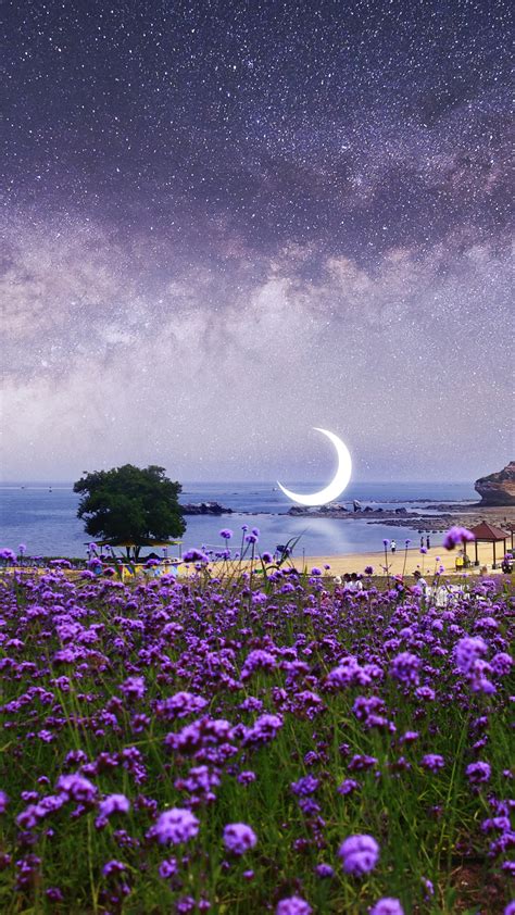 Wallpaper Surreal Moon Scenery Purple Flowers Seascape