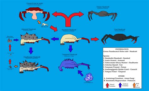 Updated Version Of The Headcrab Evolution Chart Rhalflife