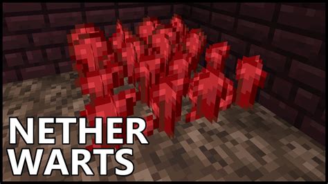 How To Get NETHER WARTS In Minecraft YouTube