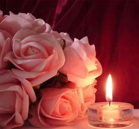 Pink roses Hermosas imágenes de buenas noches Velas románticas Luz de velas