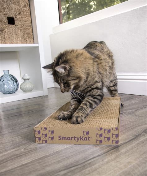 Smartykat Super Scratcher With Catnip Cat Scratcher Wide