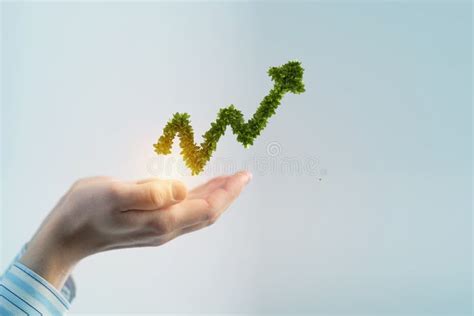 Make Your Income Grow Stock Photo Image Of Palm Business 131490912