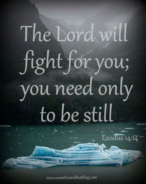The Lord Will Fight For You You Need Only To Be Still Exodus 1414 I