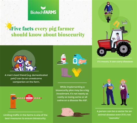 The Better Pork Guide To Managing Biosecurity In A Pig Farm Biotech
