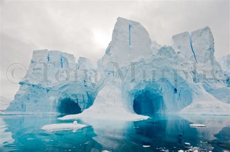 Iceberg Castle Antarctica Tom Murphy Photography