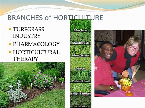Ppt Introduction To Horticulture Powerpoint Presentation Free