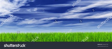 High Resolution Green Grass Over A Blue Sky Background Banner Stock
