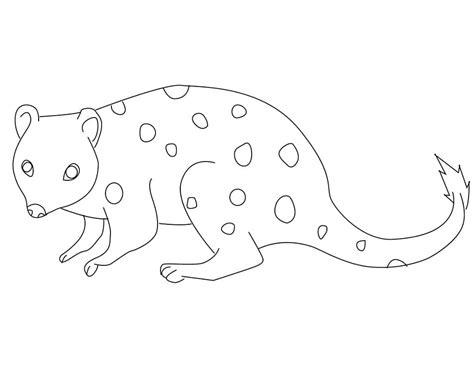 Ugly Quoll Coloring Page Free Printable Coloring Pages For Kids