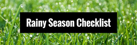 Oc Rainy Season Checklist How To Keep Your Yard And Our Waterways