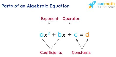 42 Identifying Parts Of An Algebraic Expression Worksheet Worksheet