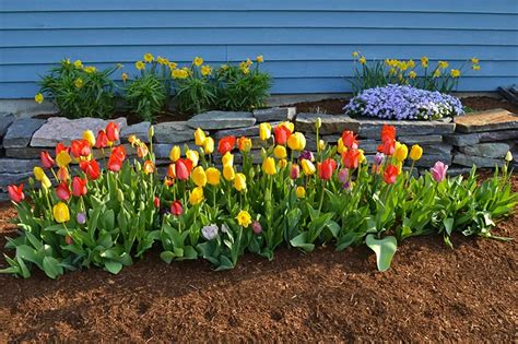 Quick And Easy Trench Planting For Fall Bulbs American Meadows Fall