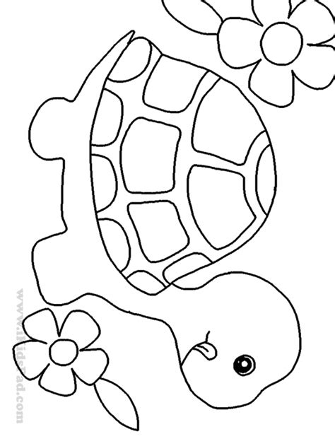 See more ideas about turtle coloring pages, coloring pages, animal coloring pages. Cute Turtle Coloring Pages - Coloring Home