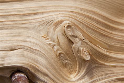 Light Wood Grain Texture