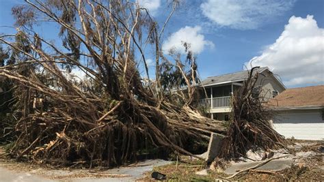 Hurricane Irma How Marco Island Weathered The Storm