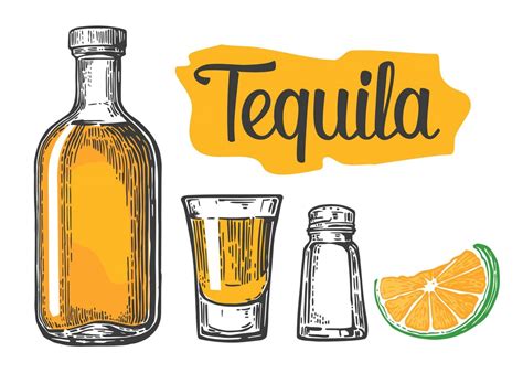 How To Celebrate National Tequila Day New Theory Magazine