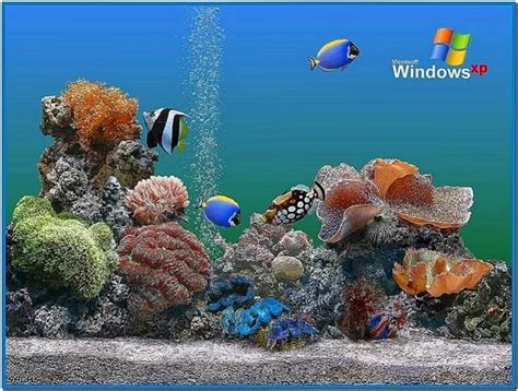 Windows Xp Aquarium Screensavers Download Free