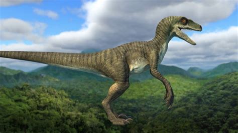 Jurassic World Camp Cretaceous Dinosaur Rnd Raptor Charlie Lorin Z Pillai On Artstation At