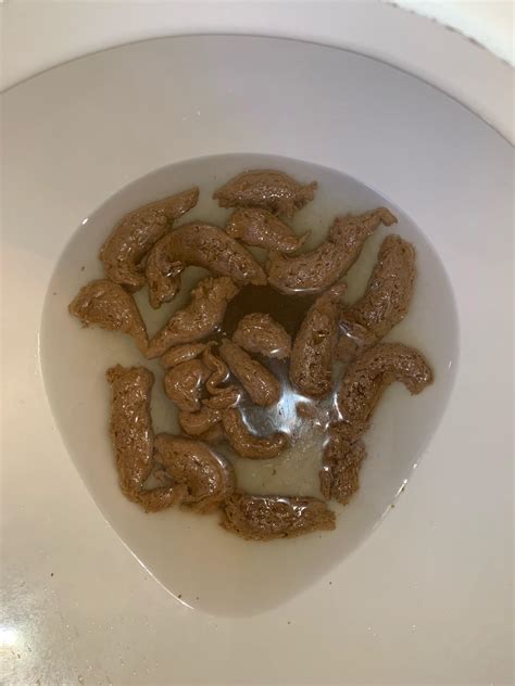 Not much at all : r/poop