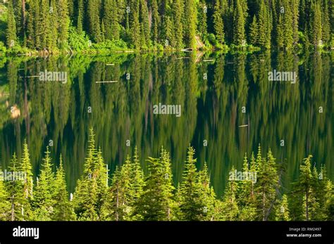 Cliff Lake Lolo National Forest Montana Stock Photo Alamy