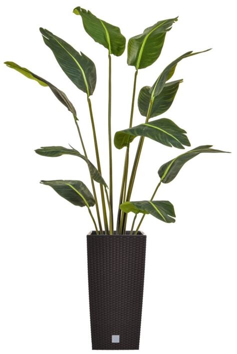 Artificial Bird of Paradise Arrangement Black Base - Artificial Tree