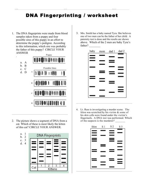 The character of dna fingerprinting worksheet answer key in education. Dna Fingerprinting Worksheet Answer Key