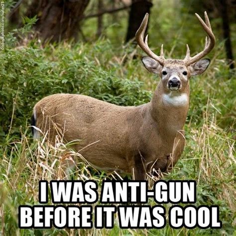 Too Cool To Shoot Lol Funny Hunting Animals Deer