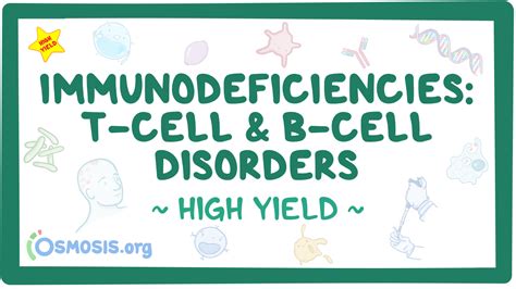 Immunodeficiencies T Cell And B Cell Disorders Pathology Review Osmosis