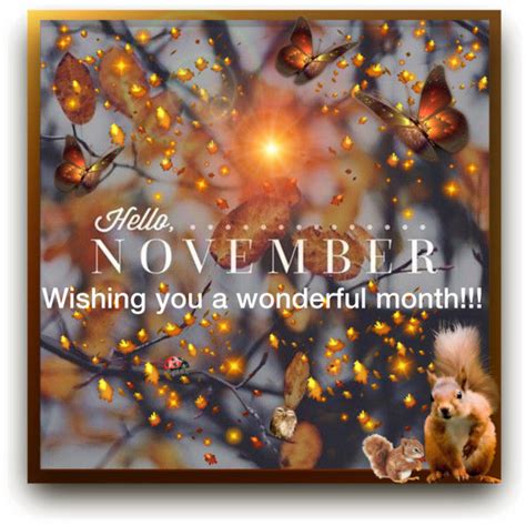 Hello November Wishing You A Wonderful Month Pictures