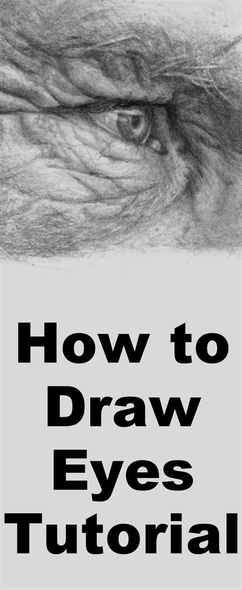 Best 25 Pencil Drawing Tutorials Ideas On Pinterest