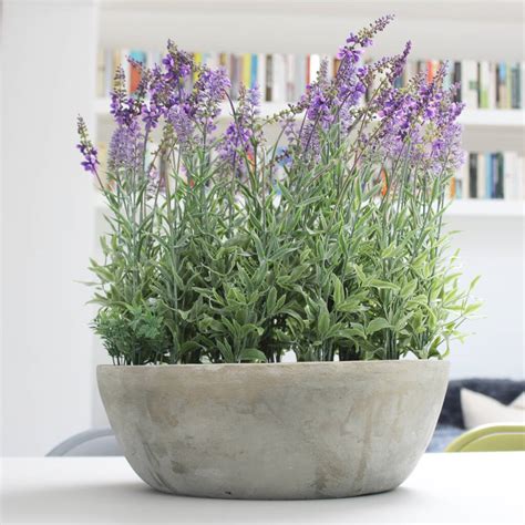 Luxury Potted Artificial Lavender Plant By Lime Tree London