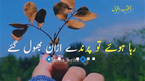 Zafar Iqbal Poetry Heart Touching Statuszafar Iqbal Poetry