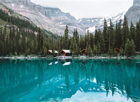 Lake Ohara Yoho National Park Canada Fun Life Crisis