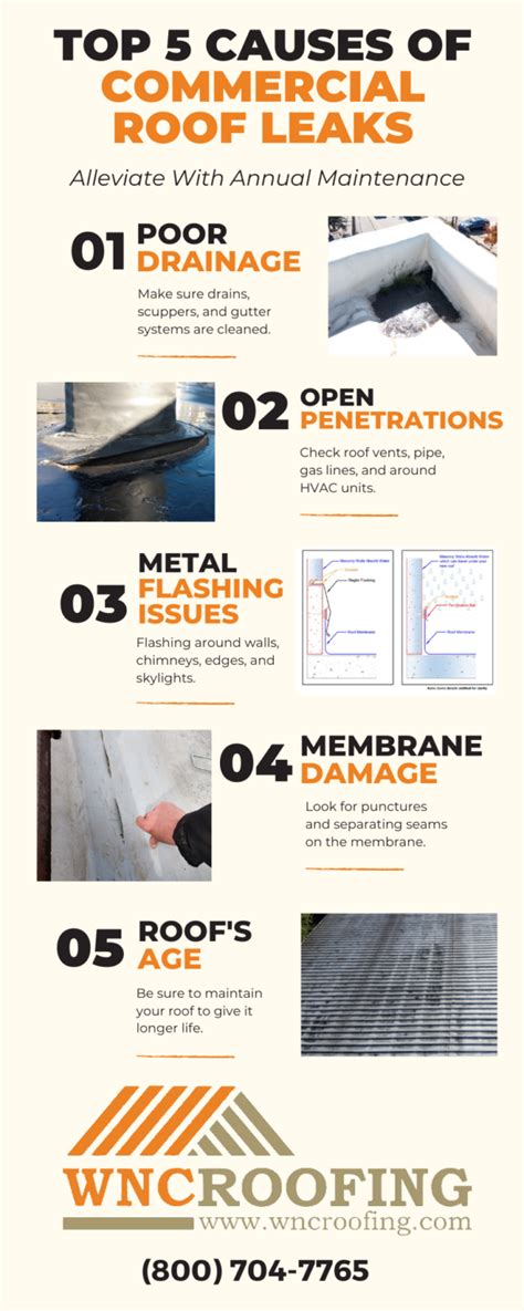 Top 5 Causes Of Commercial Roof Leaks Wnc Roofing