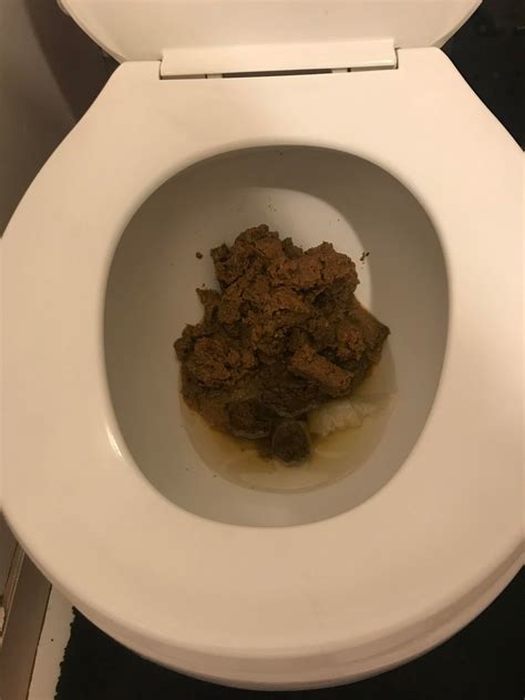 My Toilet Is A Champ Rpoop