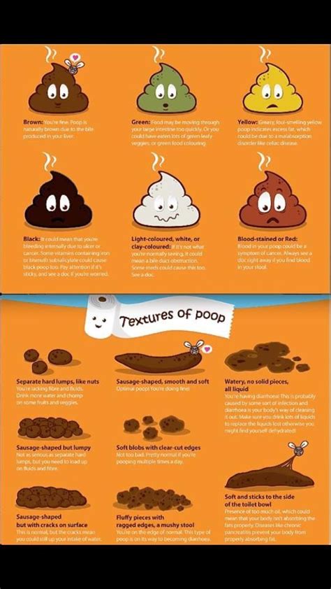 This Poop Chart Identifies Different Types Of Poop And What They Mean