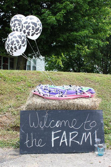 Simple Affordable And Easy Farm Birthday Party Ideas