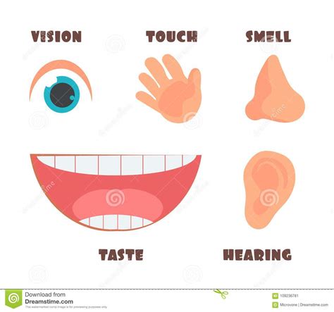 Human Senses Cartoon Vector Icons With Eye Nose Ear Hand And Mouth
