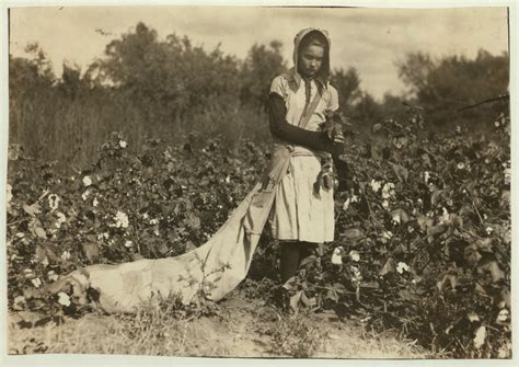 Picking Cotton Circa 1916