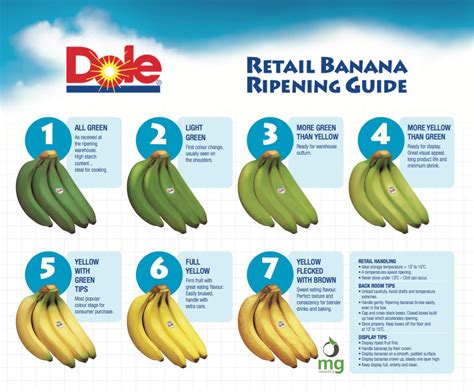 Banana Guide Free Feet Cum