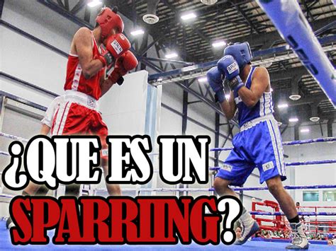 Qué Es El Sparring Y Por Qué Es Tan Importante En El Boxeo Boxeotips