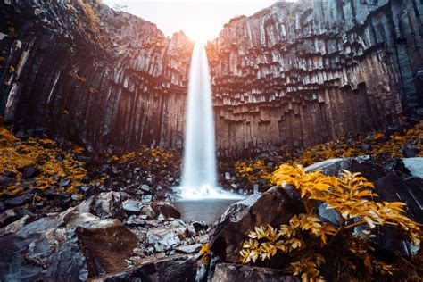 Svartifoss Know Everything About The Black Waterfall Of Iceland