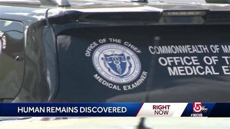 Human Remains Found In Dorchester Youtube