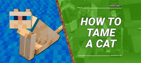 How To Tame A Cat In Minecraft A Step By Step Guide