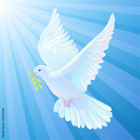 White Dove Is The Symbol Of A Peace Light Beams Stock Vector Adobe Stock