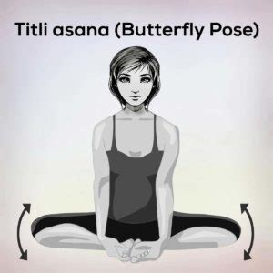 Butterfly Pose Titli Asana Benefits Steps Precautions Nexoye