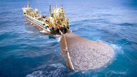 Unbelievable Big Catch Look How World S Largest Fishing Boat Catch