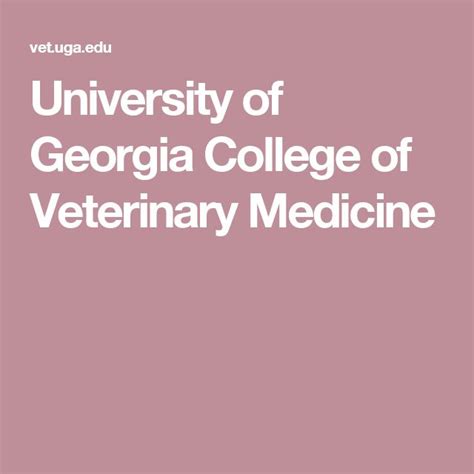 University Of Georgia College Of Veterinary Medicine Georgia College Veterinary Medicine