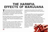 Pictures of What Are The Harmful Effects Of Marijuana