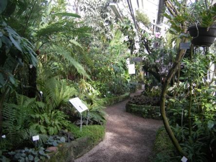 Der 1593 gegründete botanische garten ist einer der ältesten weltweit. 7a Botanischer Garten Heidelberg