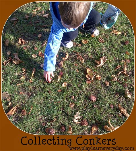 Collecting Conkers - Play and Learn Every Day